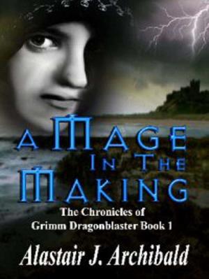 Cover of the book A Mage In The Making by Chris Wilcox