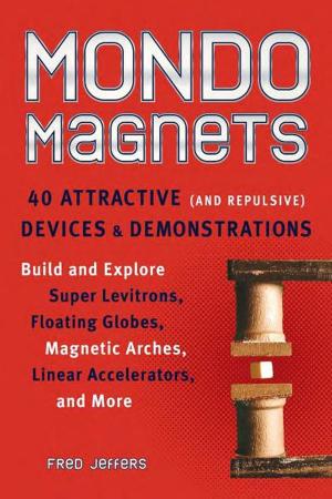 Cover of the book Mondo Magnets by Simon Quellen Field