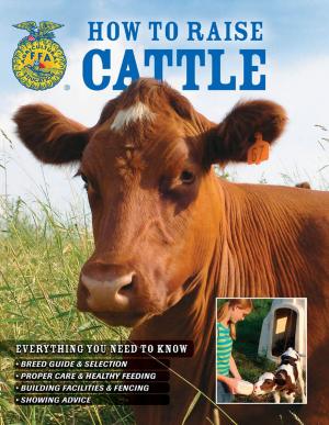 Cover of the book How To Raise Cattle by Brian Solomon