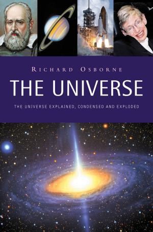 Cover of the book The Universe by Yvonne Grace