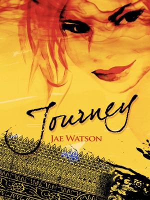 Cover of the book Journey by Zoë Jenny