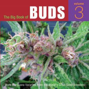 Cover of the book The Big Book of Buds by DJ Short