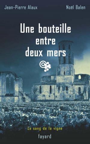Cover of the book Une bouteille entre deux mers by Claire Castillon