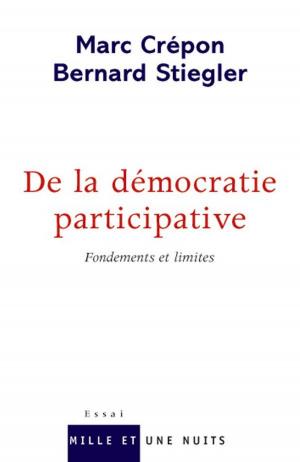 Cover of the book De la démocratie participative by Madeleine Chapsal