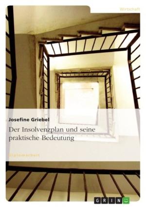 Cover of the book Der Insolvenzplan und seine praktische Bedeutung by Luciana K.haotica
