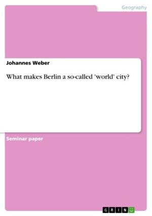 Cover of the book What makes Berlin a so-called 'world' city? by Fabrizio Capogrosso
