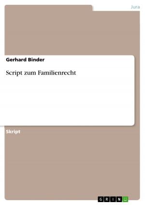 Cover of the book Script zum Familienrecht by Ilona Pfaff