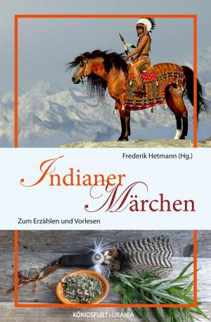 Cover of the book Indianer-Märchen by 