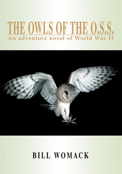 Cover of the book The Owls of the O.S.S. by Bill Womack, iUniverse