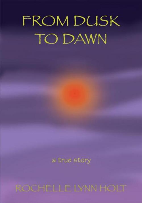 Cover of the book From Dusk to Dawn by Rochelle Lynn Holt, iUniverse
