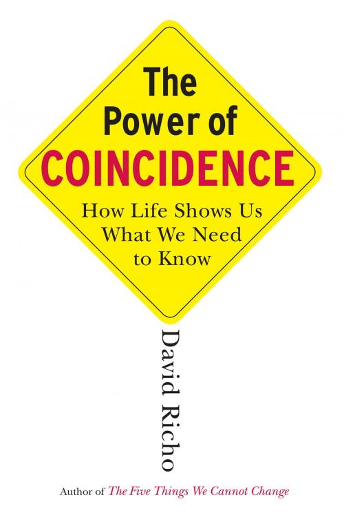 Cover of the book The Power of Coincidence by David Richo, Shambhala