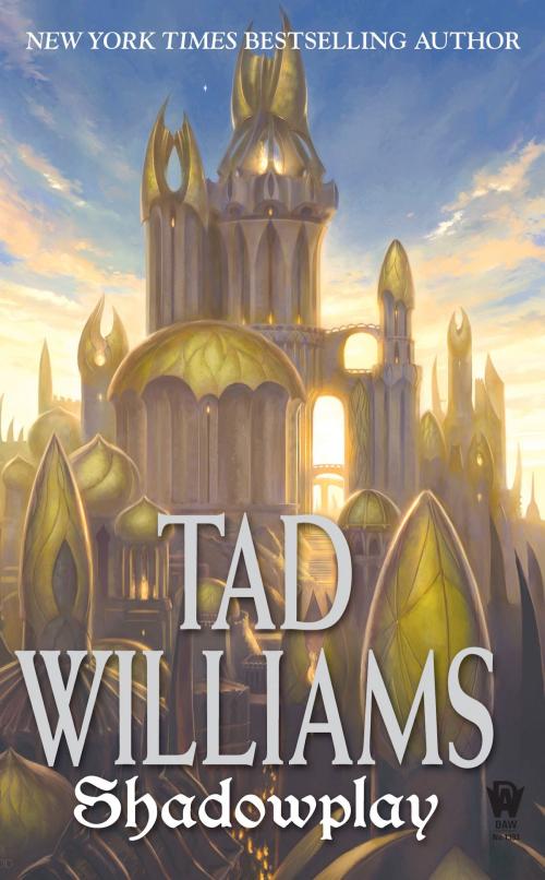Cover of the book Shadowplay by Tad Williams, DAW