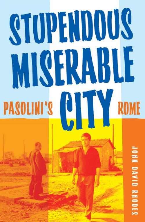 Cover of the book Stupendous, Miserable City by John David Rhodes, University of Minnesota Press