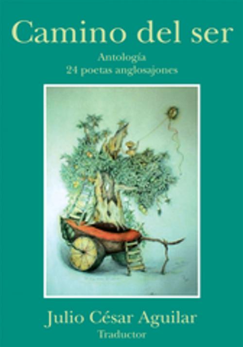 Cover of the book Camino Del Ser by Julio César Aguilar, Xlibris US