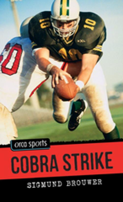 Cover of the book Cobra Strike by Sigmund Brouwer, Orca Book Publishers