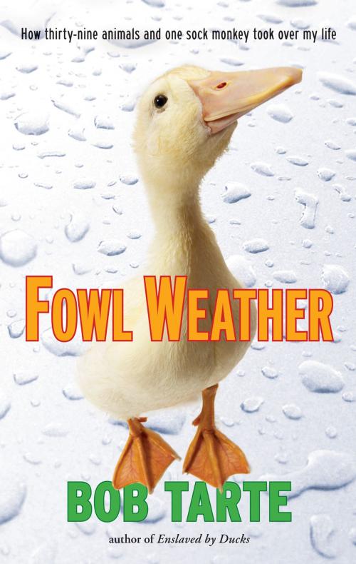 Cover of the book Fowl Weather by Bob Tarte, Algonquin Books
