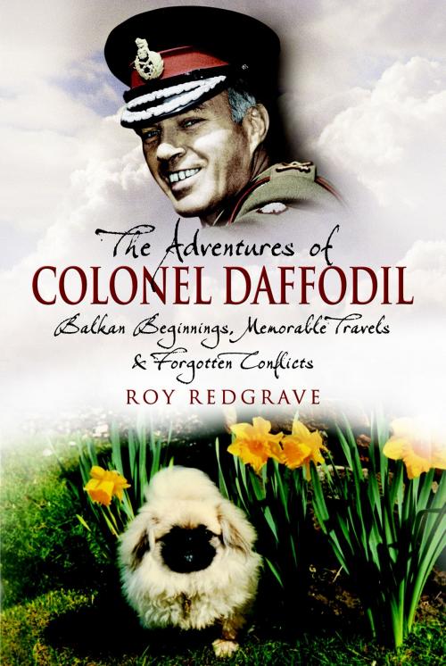 Cover of the book Adventures of Colonel Daffodil by Roy Redgrave, Pen and Sword