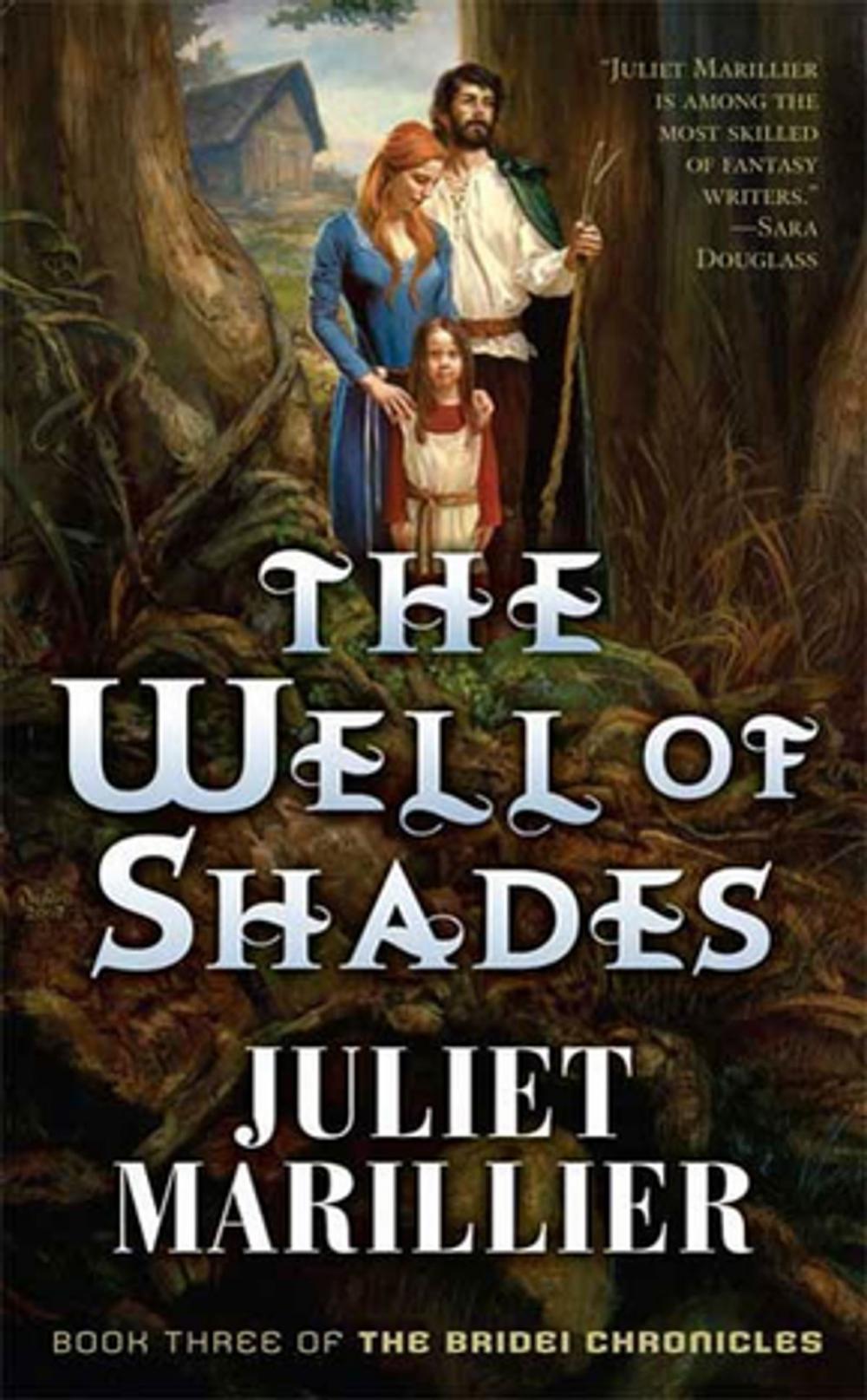 Big bigCover of The Well of Shades