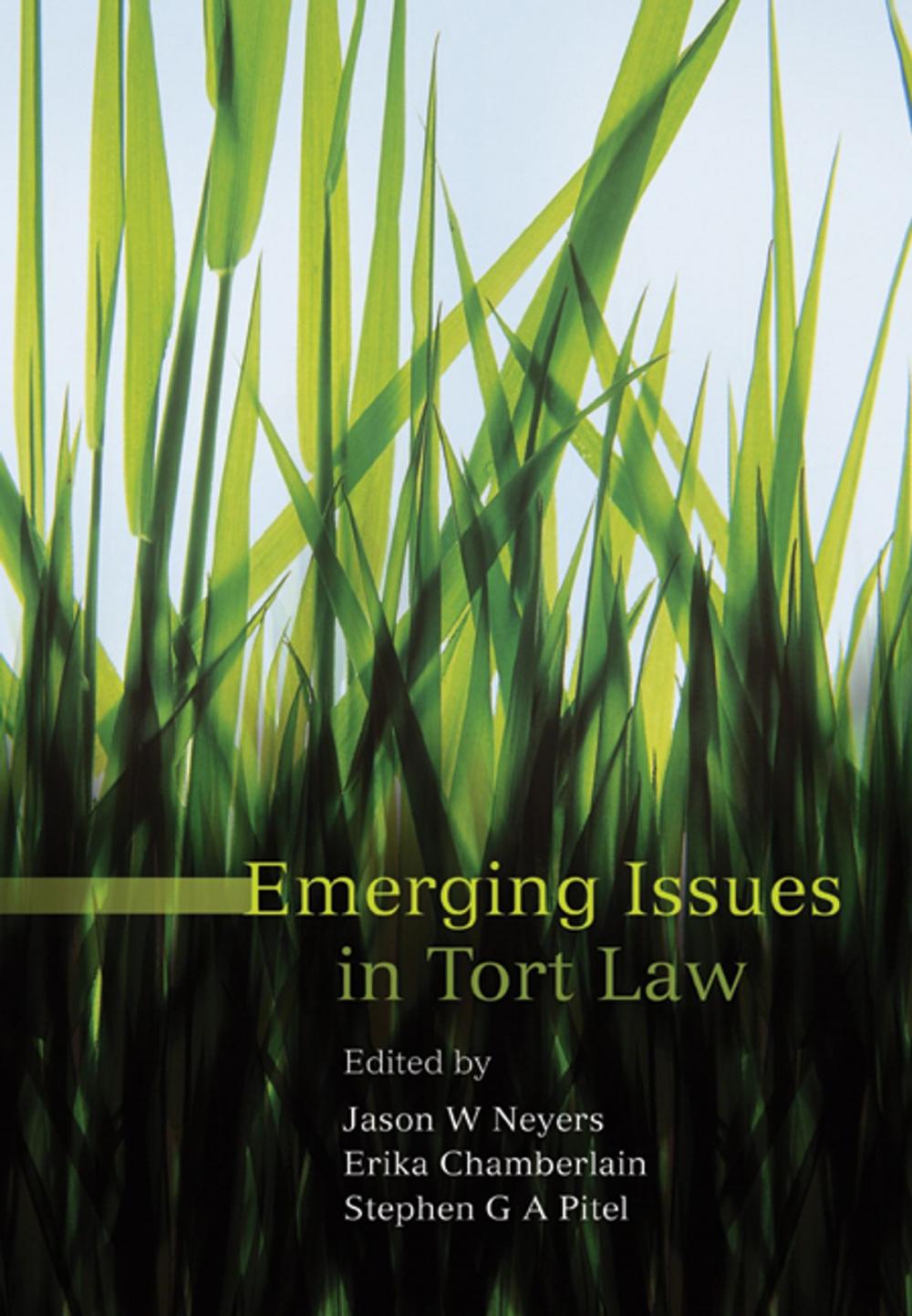 Big bigCover of Emerging Issues in Tort Law