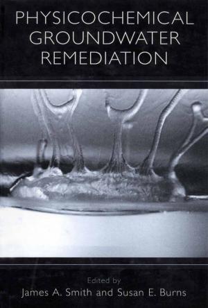 Cover of the book Physicochemical Groundwater Remediation by Craig Russon, Karen Russon