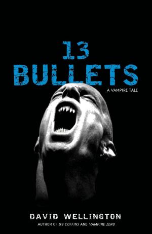 Book cover of 13 Bullets