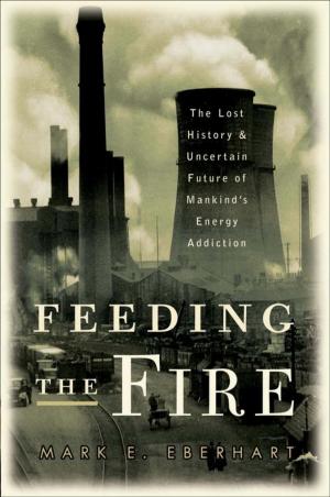 Book cover of Feeding the Fire