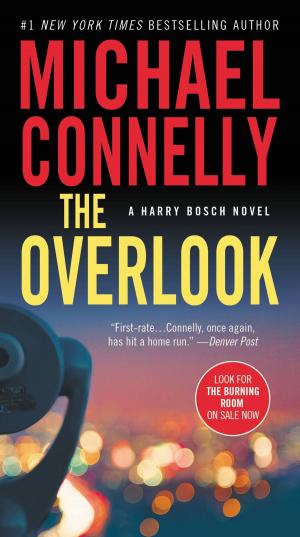 Cover of the book The Overlook by James Patterson, Marshall Karp