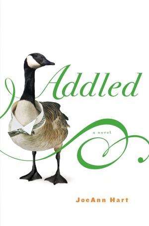 Book cover of Addled