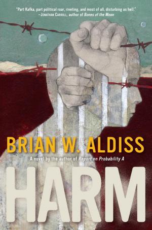 Cover of the book HARM by Ian Ayres