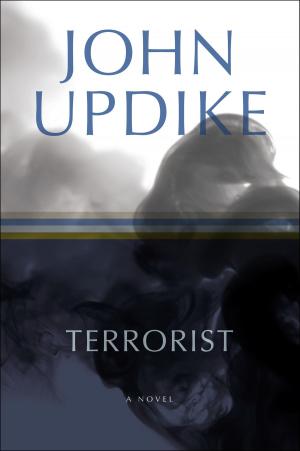 bigCover of the book Terrorist by 