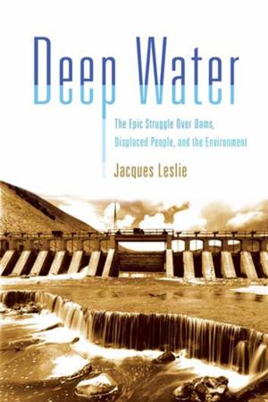 Cover of the book Deep Water by Daniel Orozco