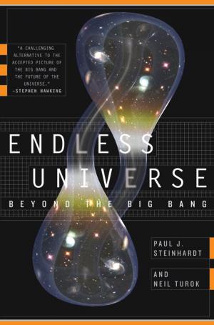 Cover of the book Endless Universe by Dan Dana