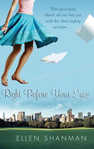 Book cover of Right Before Your Eyes