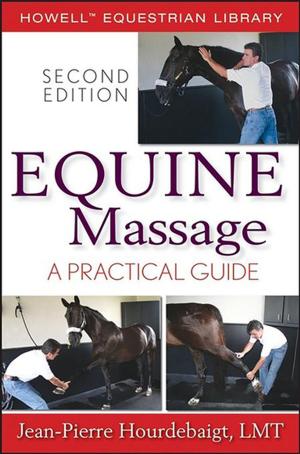 Book cover of Equine Massage