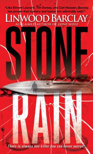 Cover of the book Stone Rain by Patricia Morrisroe