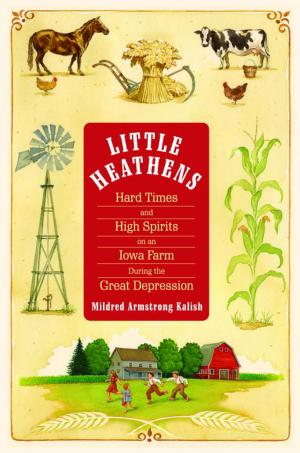 Cover of the book Little Heathens by George R. R. Martin