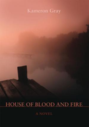 Cover of the book House of Blood and Fire by LJ Taft