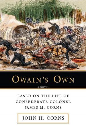 Cover of the book Owainýs Own by Gerard Cohen.