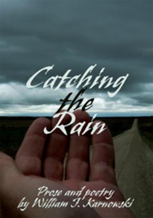 Cover of the book Catching the Rain by Lon LaFlamme