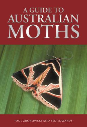 Cover of the book A Guide to Australian Moths by Nick Romanowski