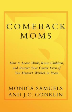 Book cover of Comeback Moms