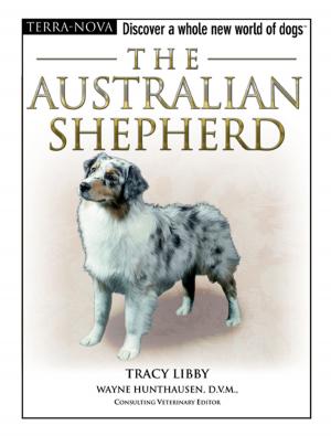 Cover of the book The Australian Shepherd by Dr. Sophia Yin
