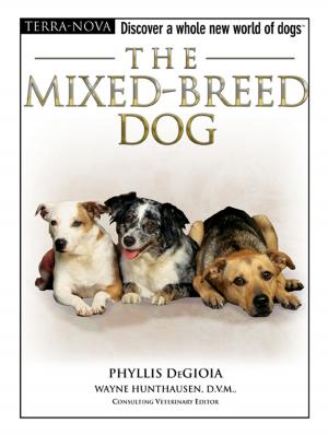 Cover of the book The Mixed-Breed Dog by Rebecca K. O'Connor