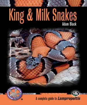 Cover of the book King & Milk Snakes (Complete Herp Care) by Patricia F. Lehman