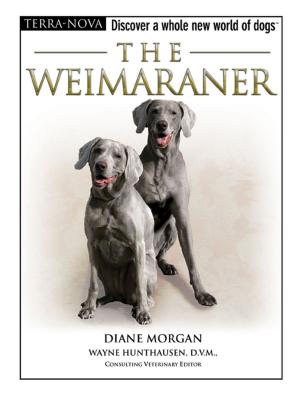 Cover of the book The Weimaraner by Terry Albert