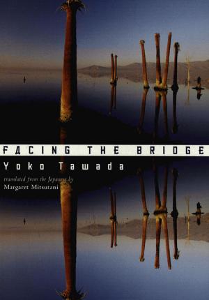 Cover of the book Facing the Bridge by Hilda Doolittle