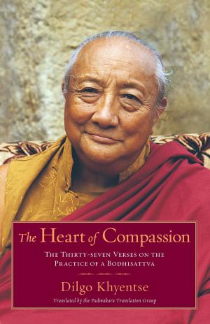 Cover of the book The Heart of Compassion by Tenzin Wangmo