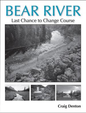 Cover of the book Bear River by 