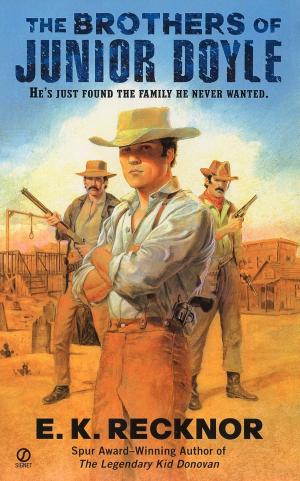 Cover of the book The Brothers Of Junior Doyle by Daniel Silva