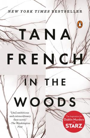 Cover of the book In the Woods by Django Wexler